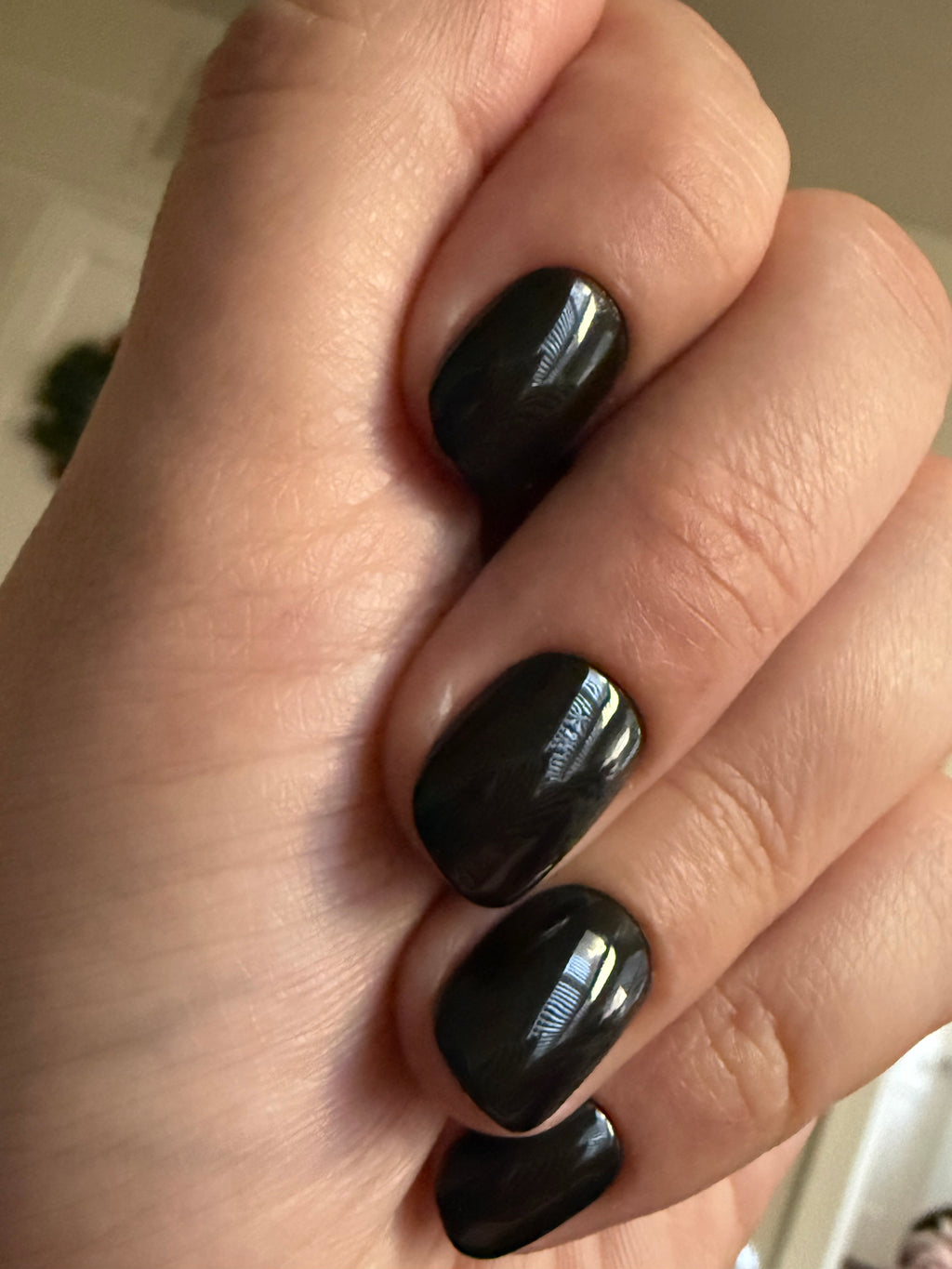 Single Color Gel Set XXXS round