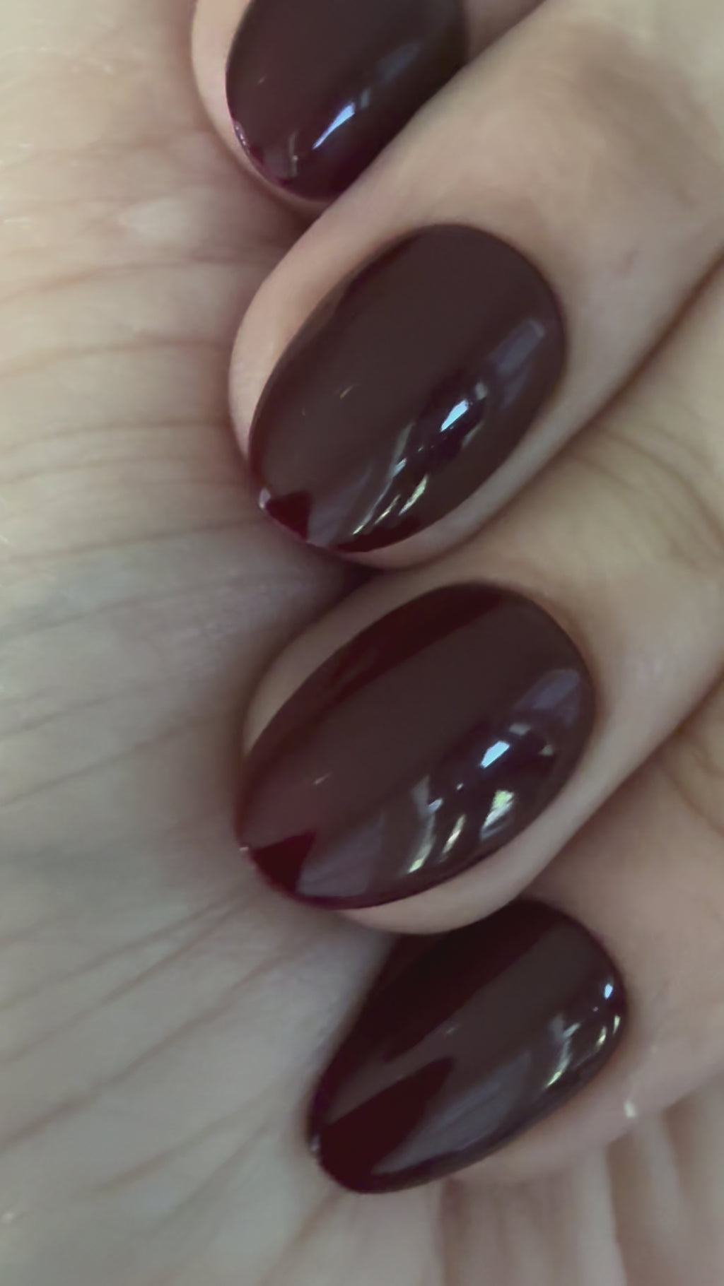 Black Cherry with 3D web
